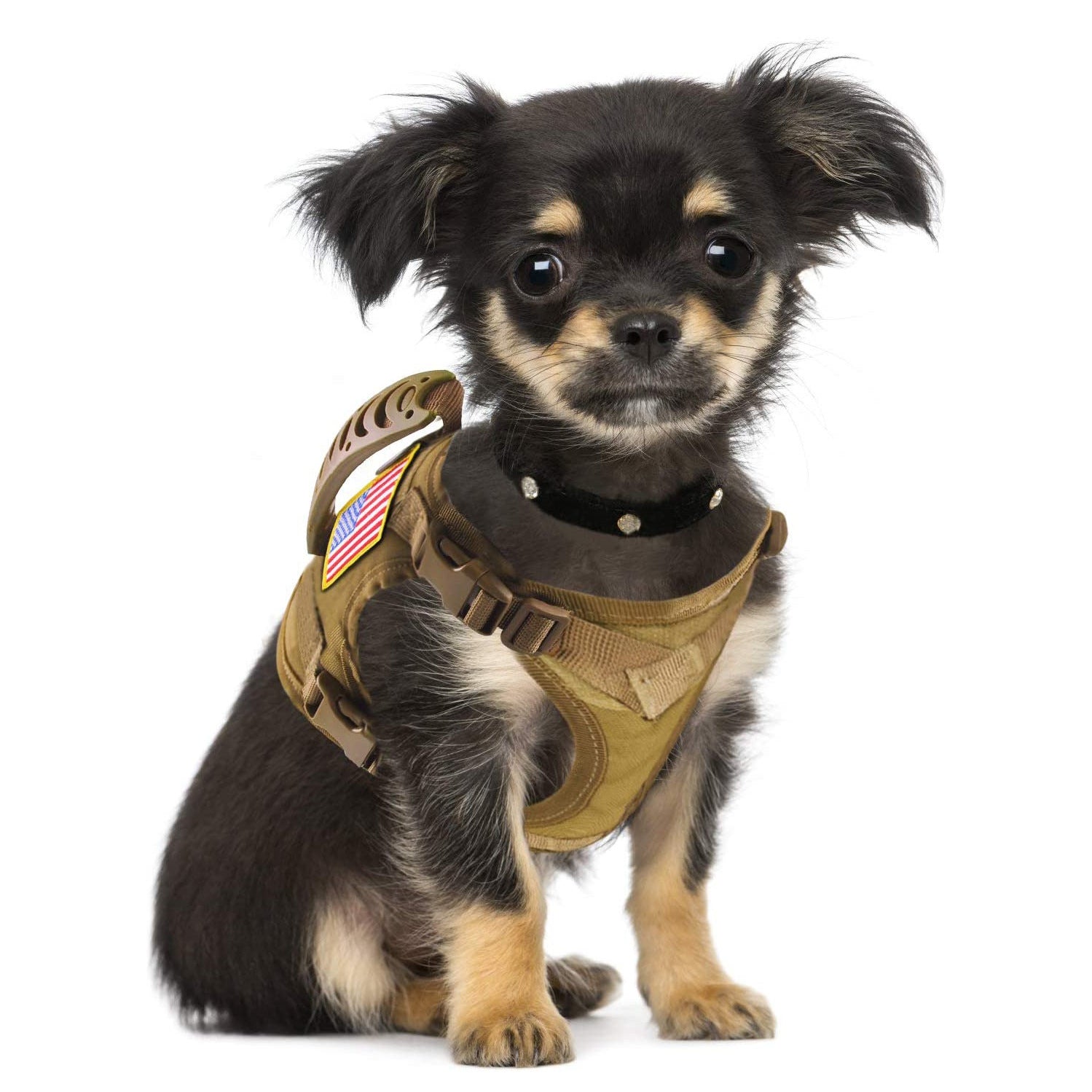 Outdoor tactical dog vest, dog-proof clothing, dog K9 chest and shoulder straps, special vest for walking cats outside, adjustable